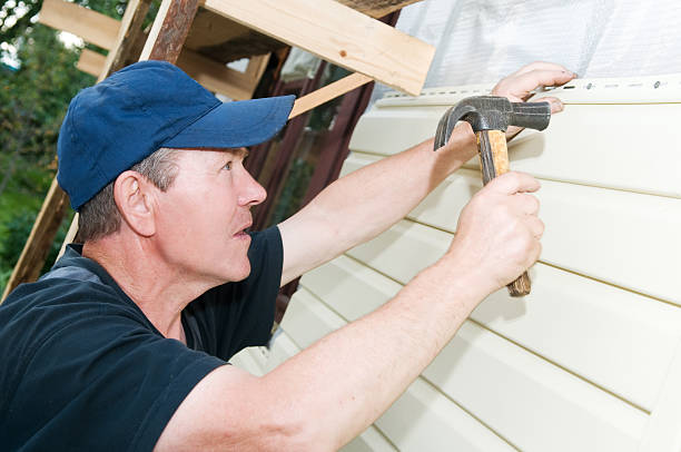 Best Insulated Siding Installation  in Wellsville, UT