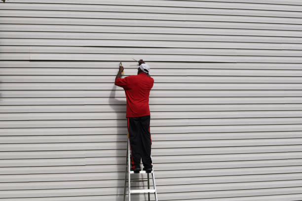 Best Aluminum Siding Installation  in Wellsville, UT